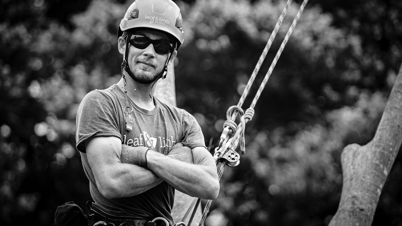 Tree care crew working together outdoors in Raleigh, NC.