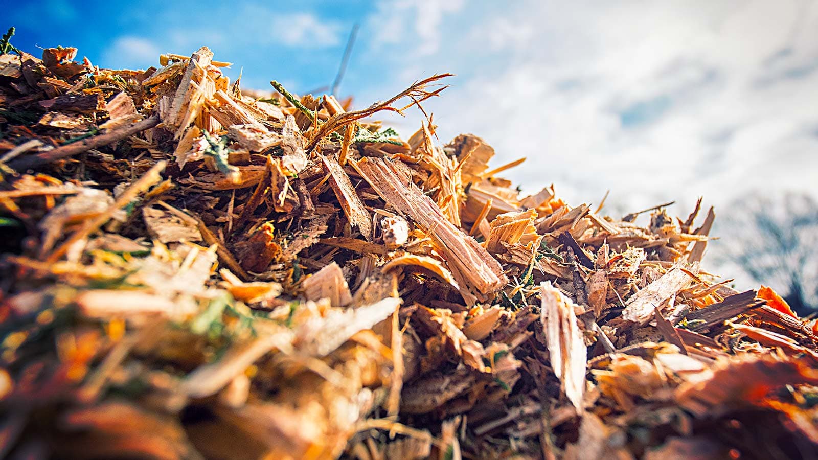 Free Wood Chips - Raleigh Cary Durham Chapel Hill Apex Garner NC - Leaf &  Limb