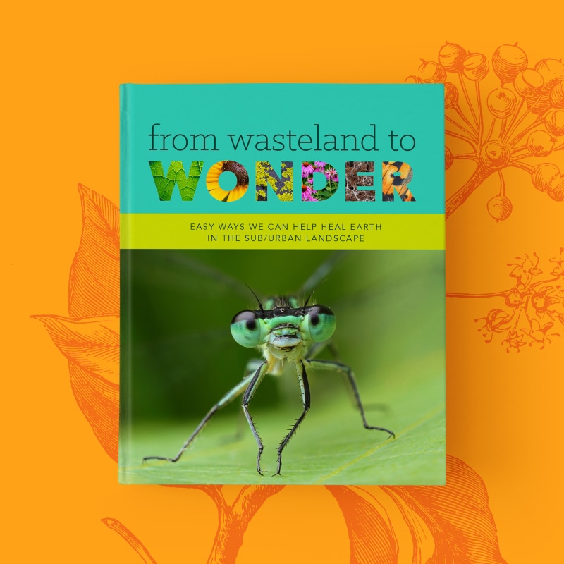 Book cover for 'From Wasteland to Wonder'