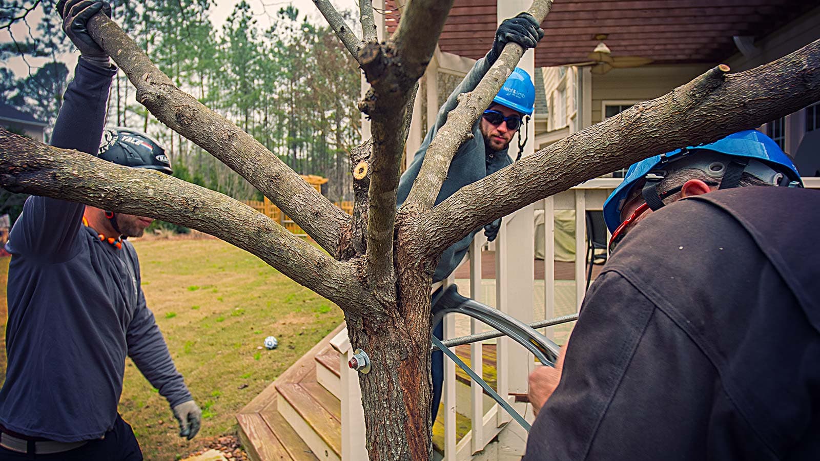 Brace rod installed in tree for structural support