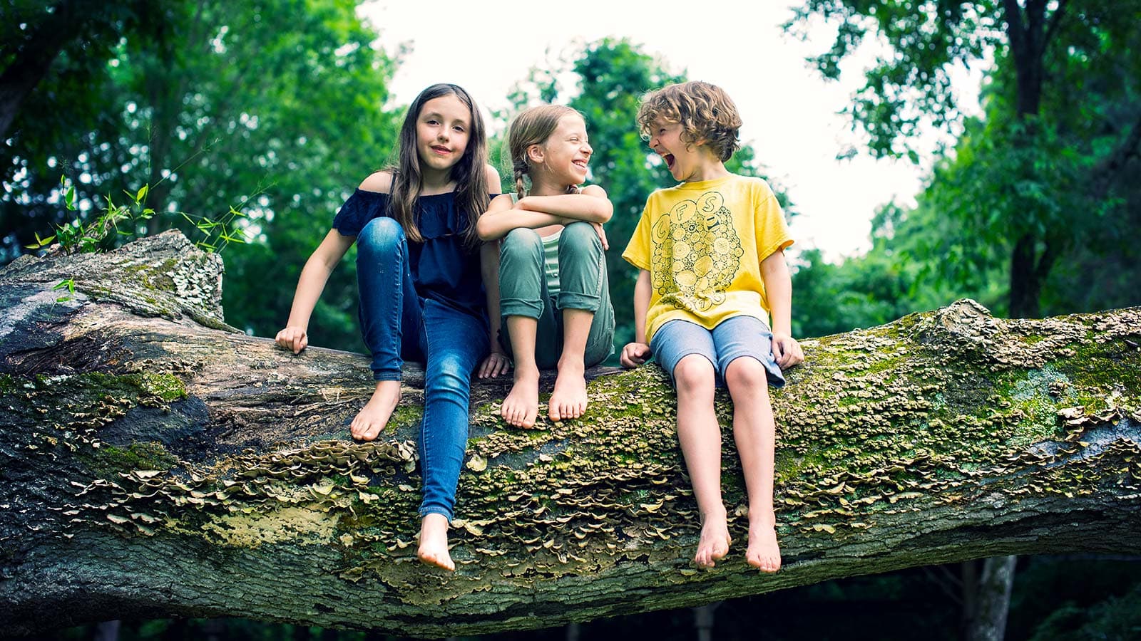 Children sitting on a tree.