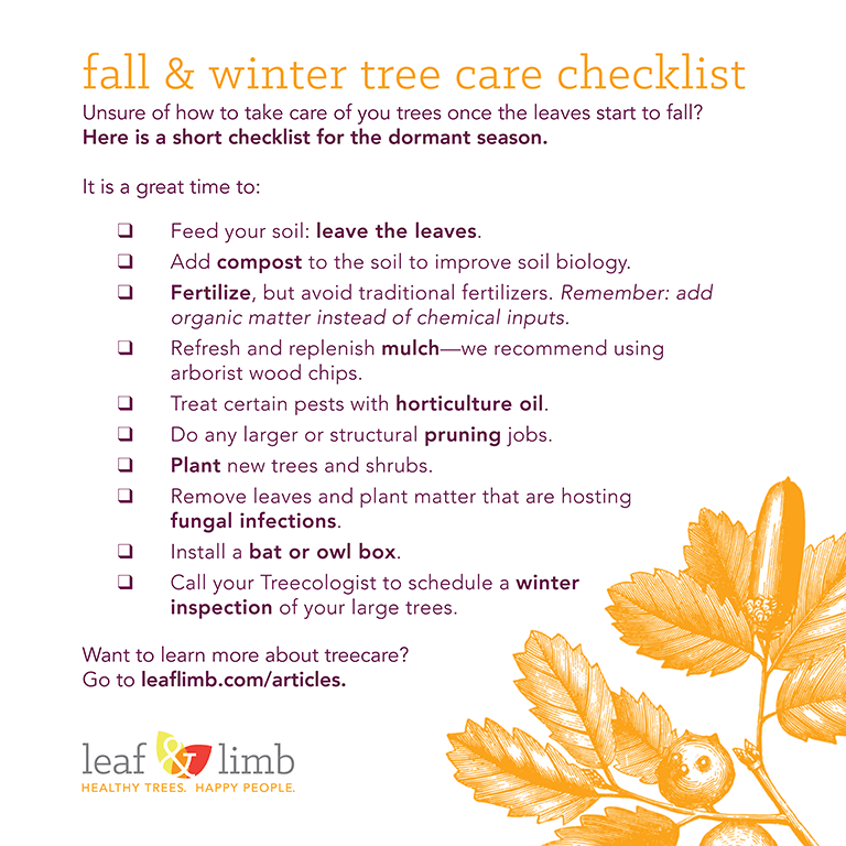 Winter &amp; Fall Checklist