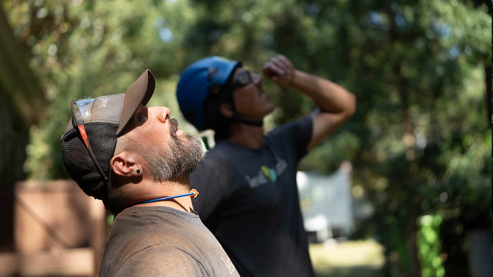 Leaf & Limb crew candidly working and celebrating outdoors in 2025.