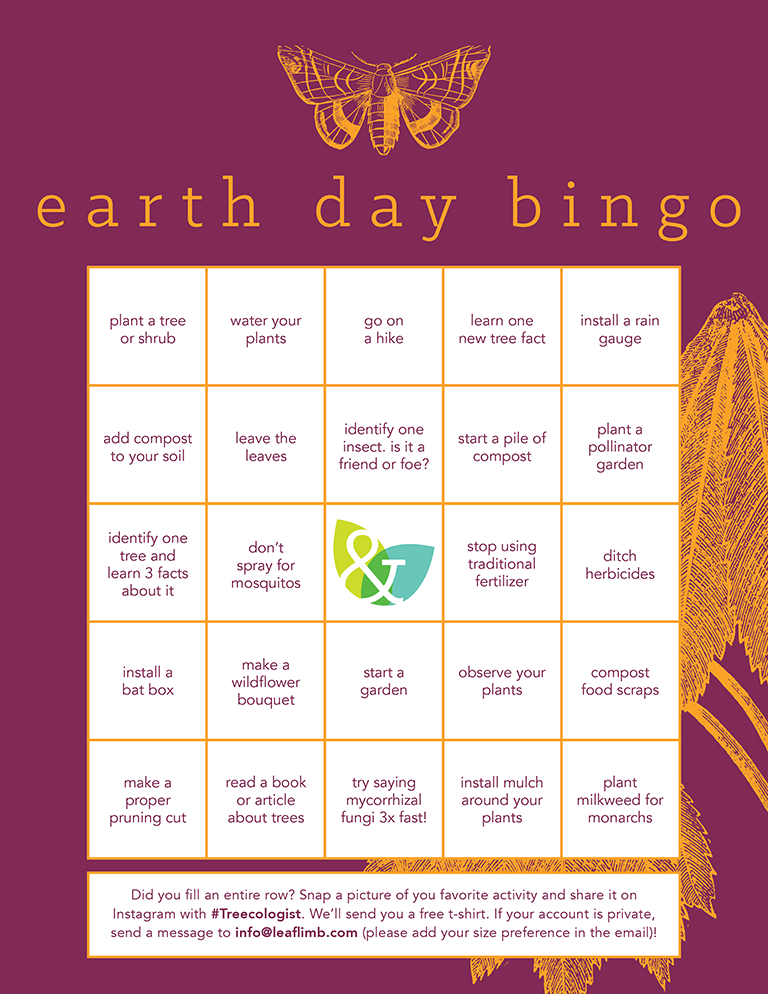 Earth Day Bingo