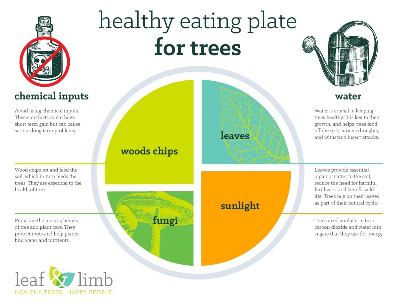 My Plate for Trees