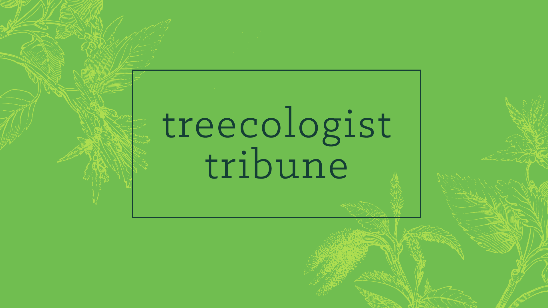 Treecologist Tribune newsletter header design