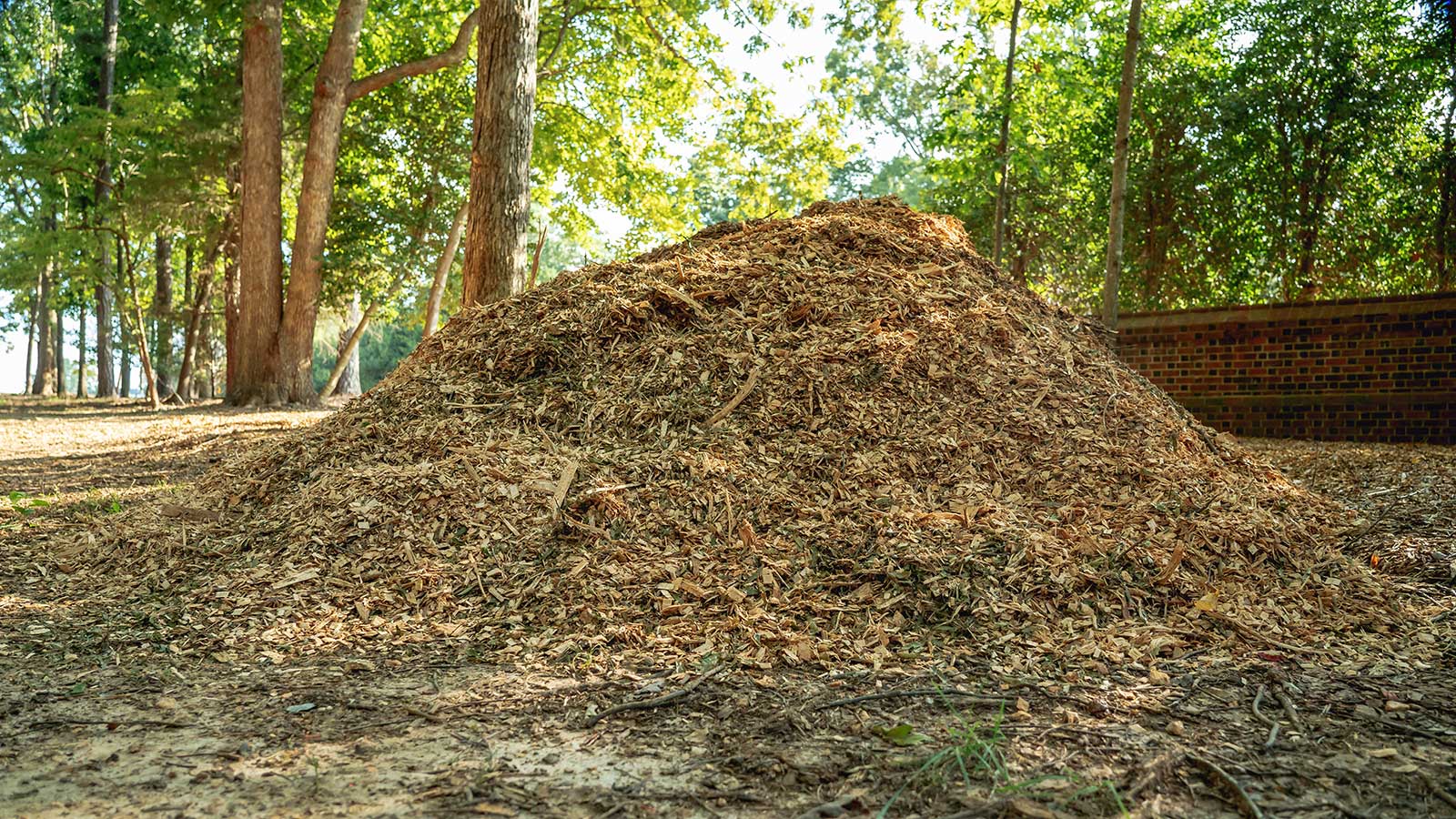 Wood Chips vs. Mulch: What's the Difference?