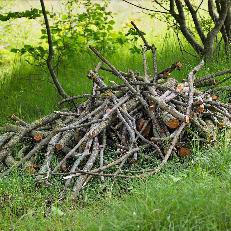 A pile of brush and logs left in a corner of the property for wildlife