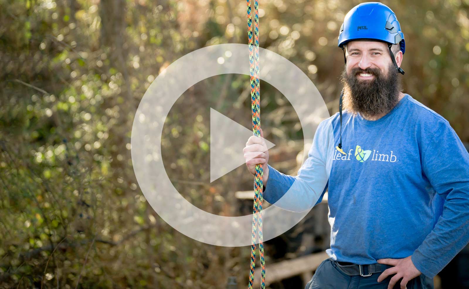 Video  Climbing with Archie: How to Climb a Tree Like an Arborist
