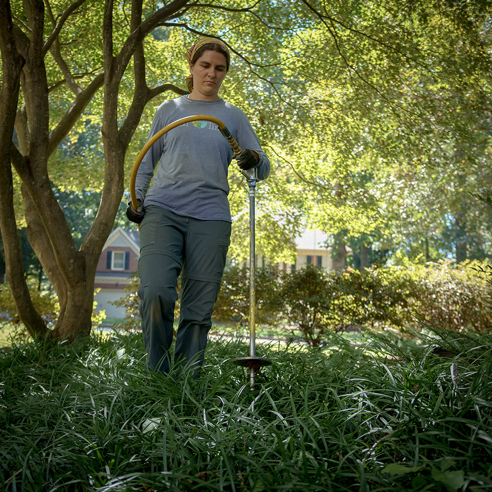 Treecologist doing compost tea injection