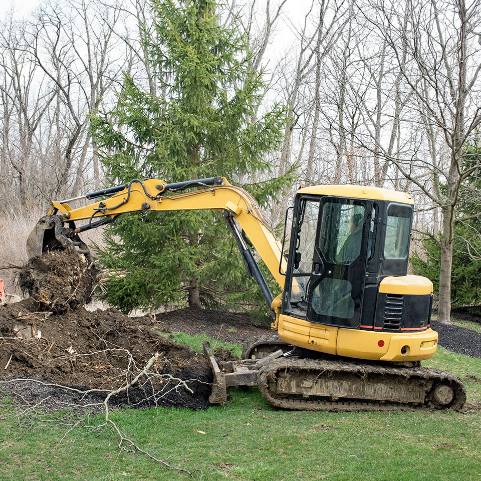 Heavy equipment near the root zone of a large tree