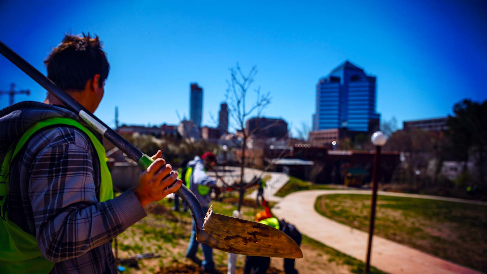 The Joy of Planting Native Trees in Durham, North Carolina