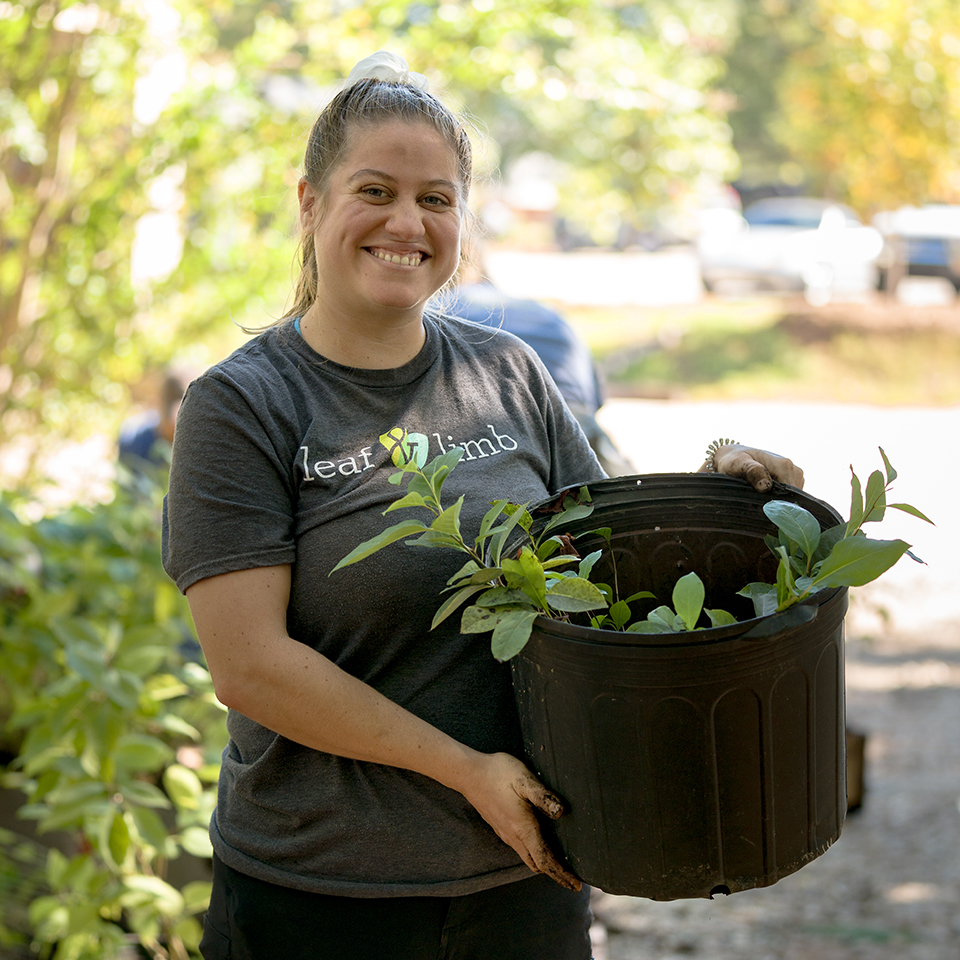 Person easily carrying several small saplings for planting.