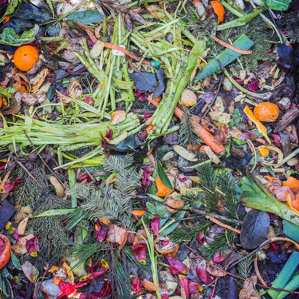 Compost added to soil for nutrients