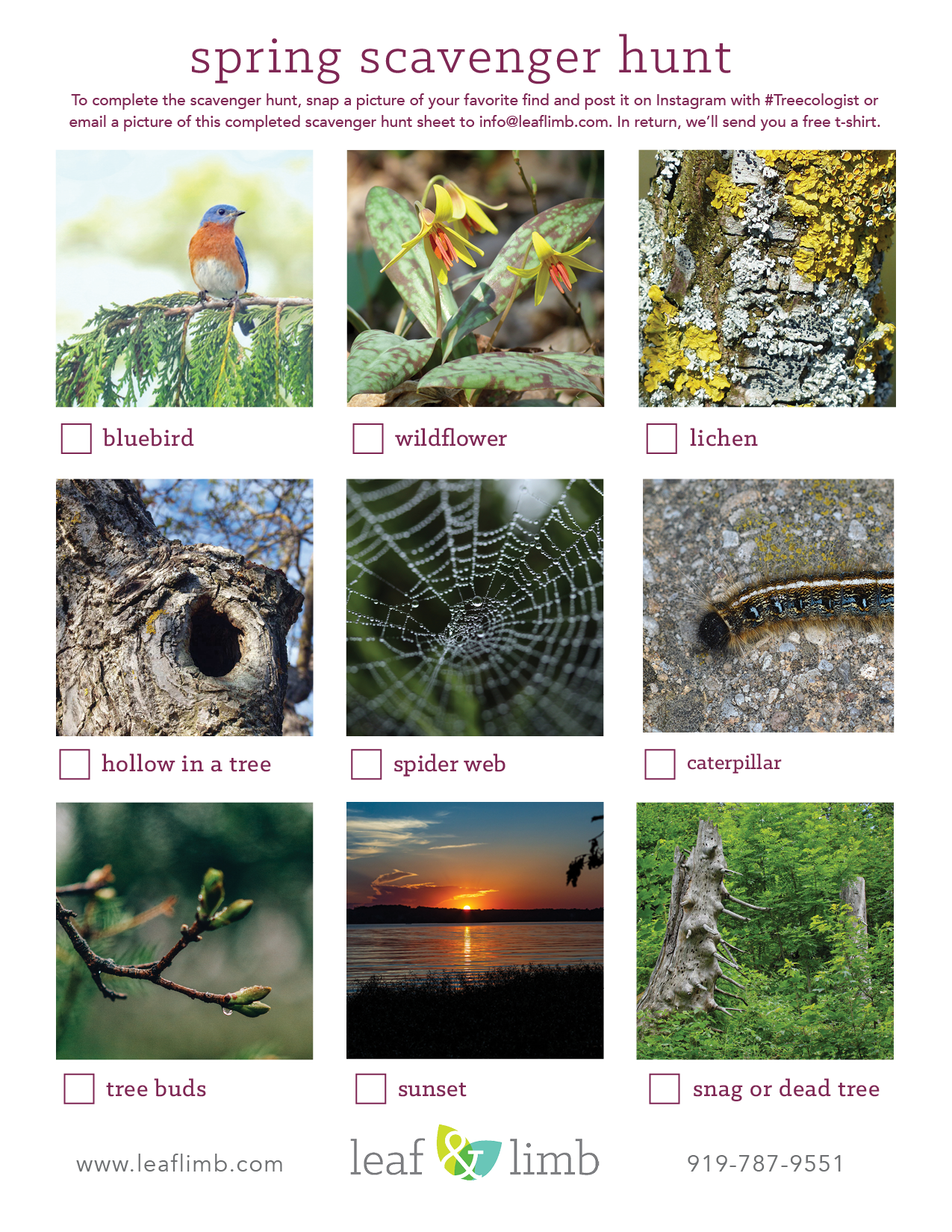 Spring Scavenger Hunt