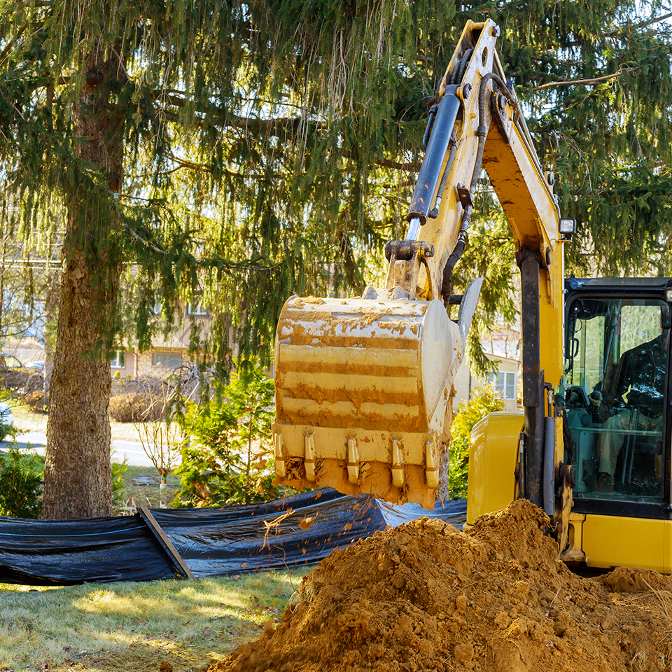Construction equipment working near the root zone of a mature tree