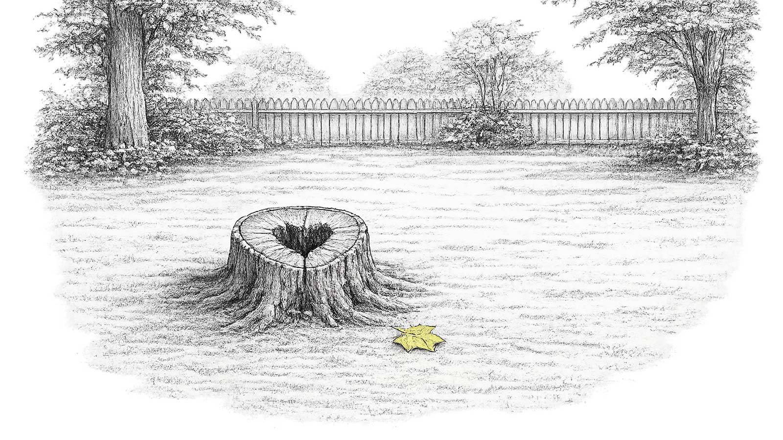 a tree stump with a heart in the center