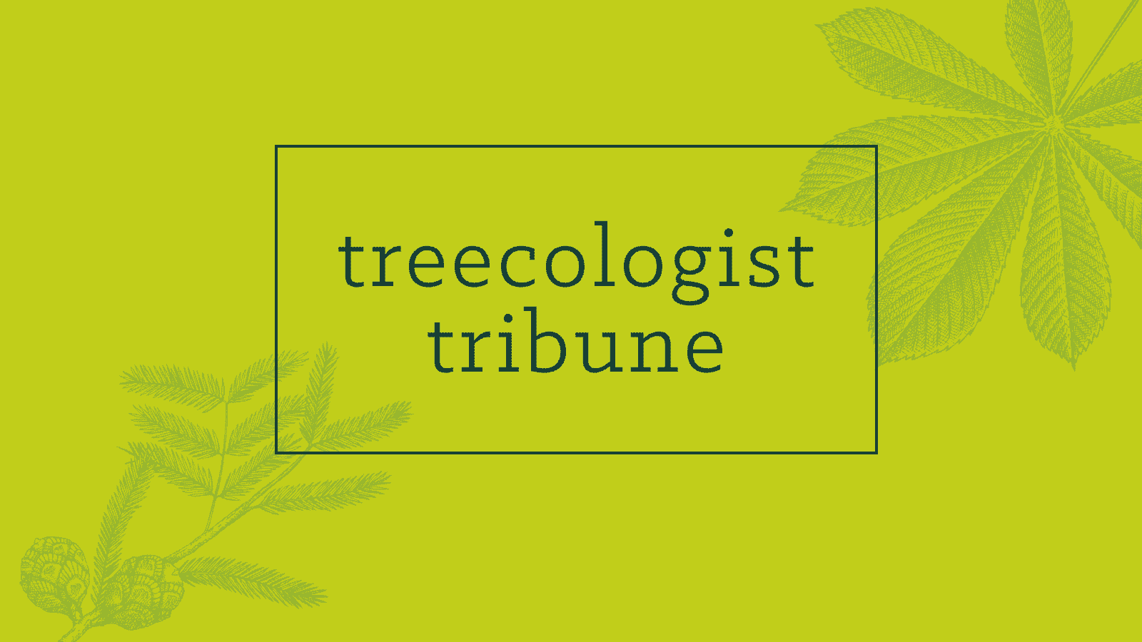 The Treecologist Tribune newsletter header with fall soil health focus.