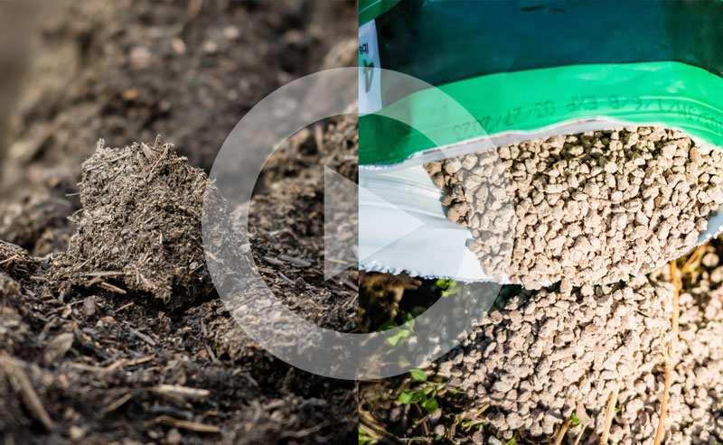 Rich, dark compost fertilizer ready to be spread around plants.