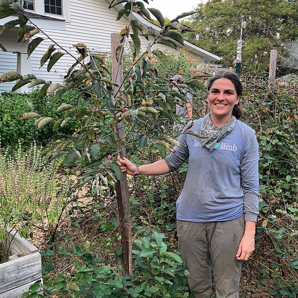 Andrea standing next to a Project Pando Sapling that was planted in a community garden only two years ago!