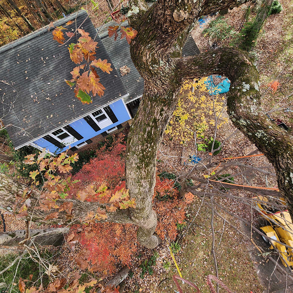 Autumn is one of our favorite times of year and we are lucky to get to see all of the colors from way up high.