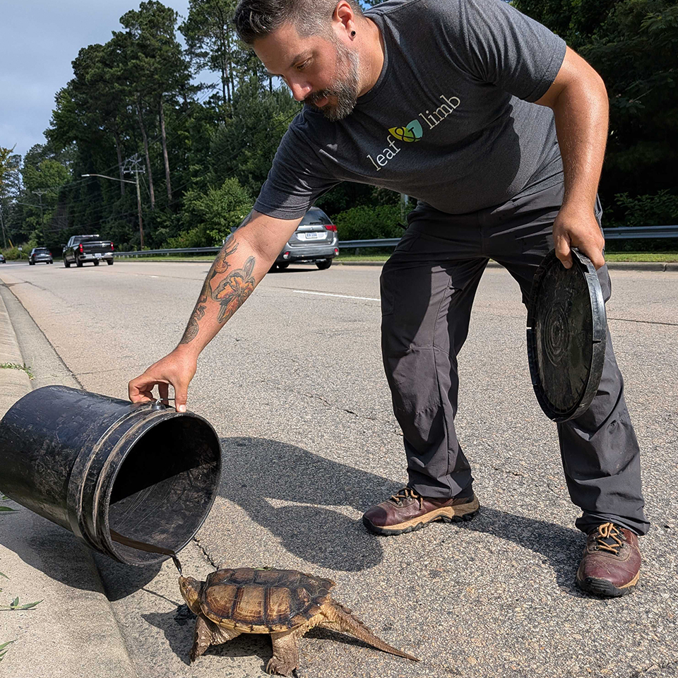 Geoff helped a few turtles across the road and we all took time to care for creatures, big and small.