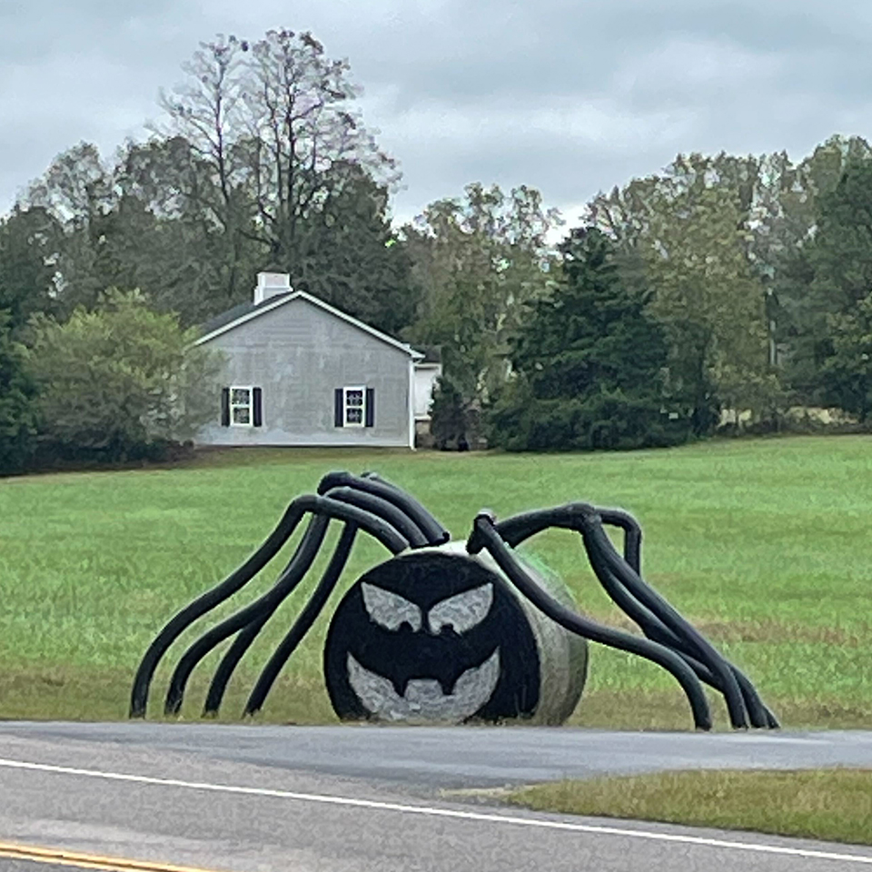 But we're not sure about this one. Something looks different.