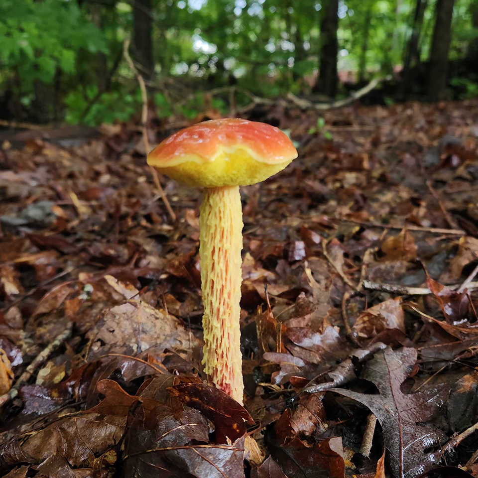 Proof that there’s always more happening just below the surface.