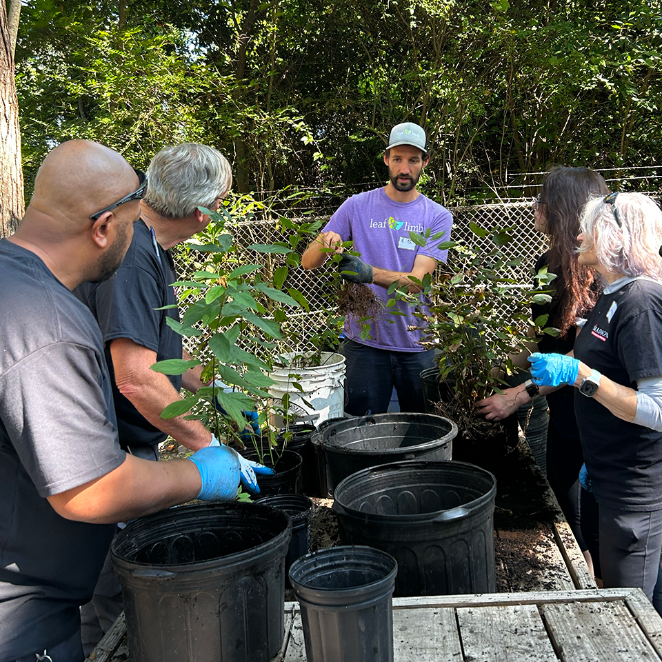 EB spent many days in the grove explaining how to process seeds, how air pruning boxes work, and how to separate saplings after they have germinated.