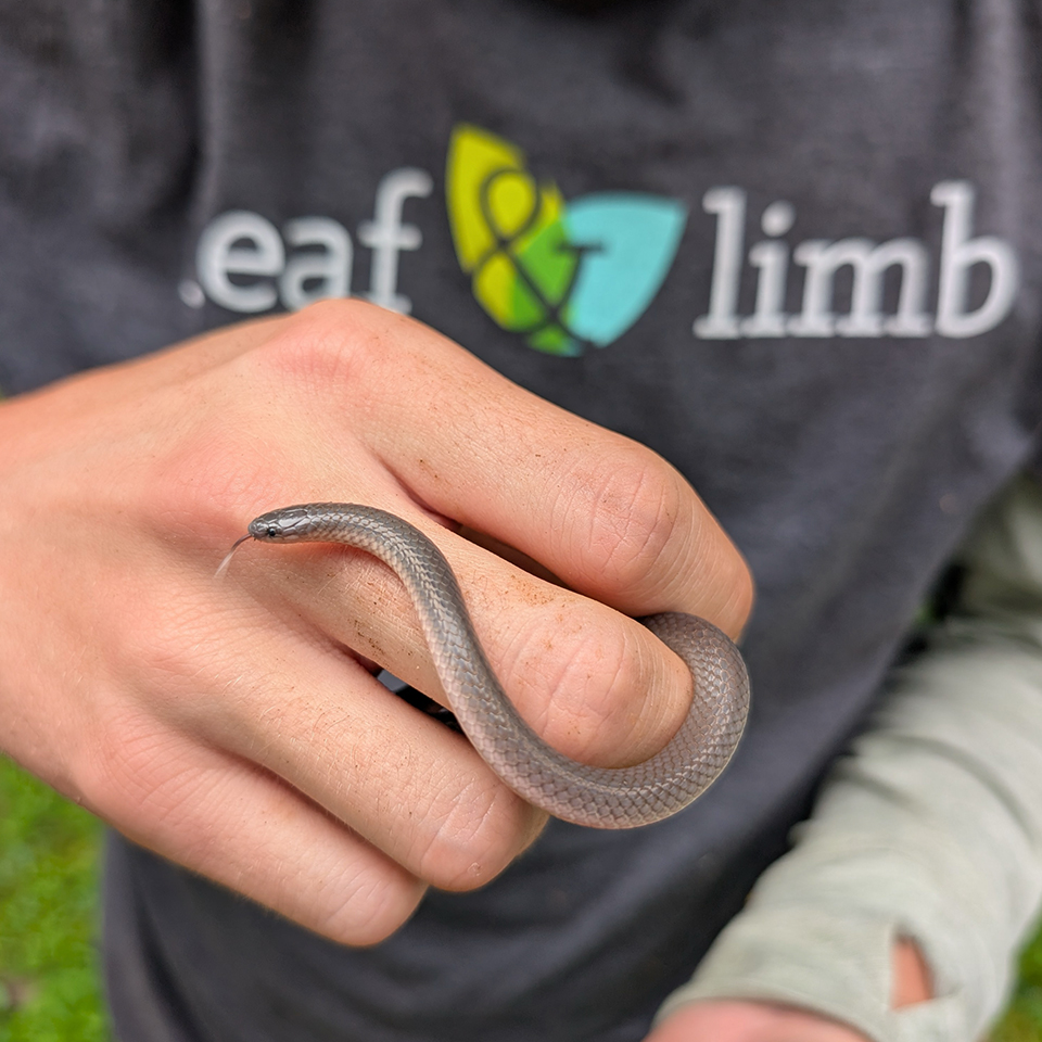 We make sure everyone is safe and cared for, so our ecosystem stays healthy and happy.