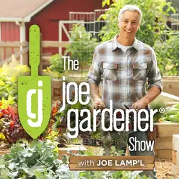 Easy Ways to Help Heal Earth in Suburban and Urban Landscapes