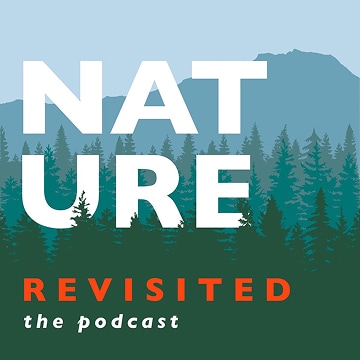 Basil Camu - From Wasteland To Wonder - Nature Revisited
