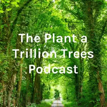 Basil Camu is a Master Arborist and Co-Owner of Leaf & Limb in Raleigh, North Carolina